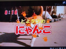 makomako(琴)のブログ