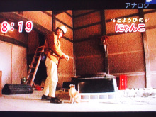 makomako(琴)のブログ